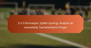 featured-image-5-2-3-formasjon-spiller-synergi-analyse-av-samarbeid-samarbeidsmlinger